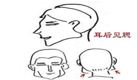 耳後見腮面相|詳解面相中的「反骨」，人身三大反骨你有幾樣？